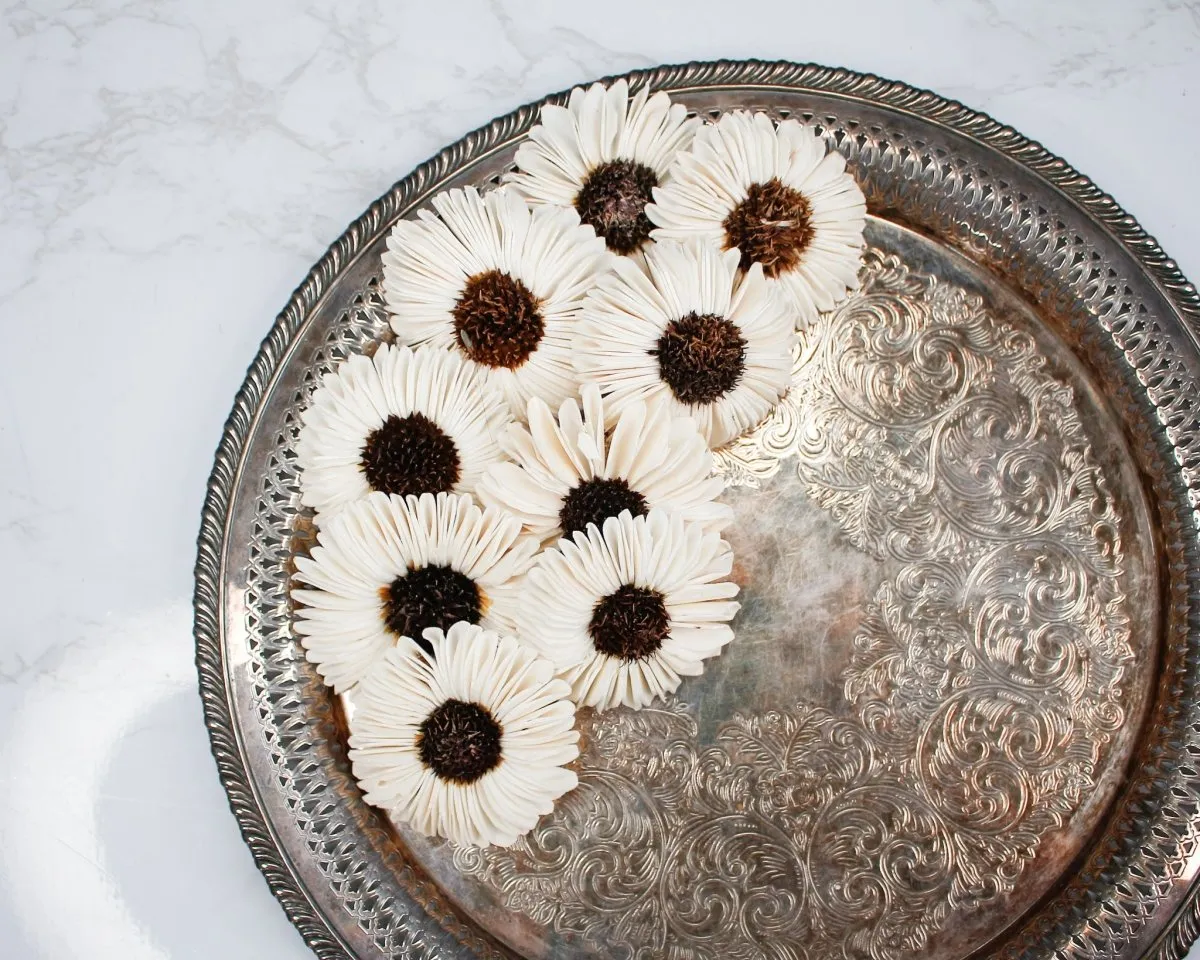 2" Autumn Sunflower (10 pack)