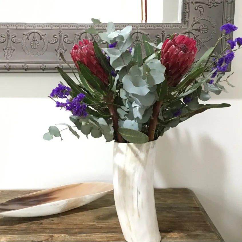 ANKOLE COW HORN VASE OR PLANTER  - LIGHT