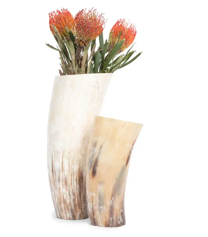 ANKOLE COW HORN VASE OR PLANTER  - LIGHT