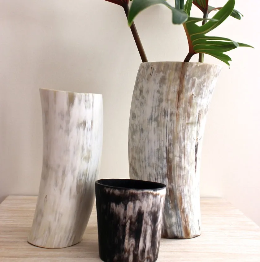 ANKOLE COW HORN VASE OR PLANTER  - LIGHT