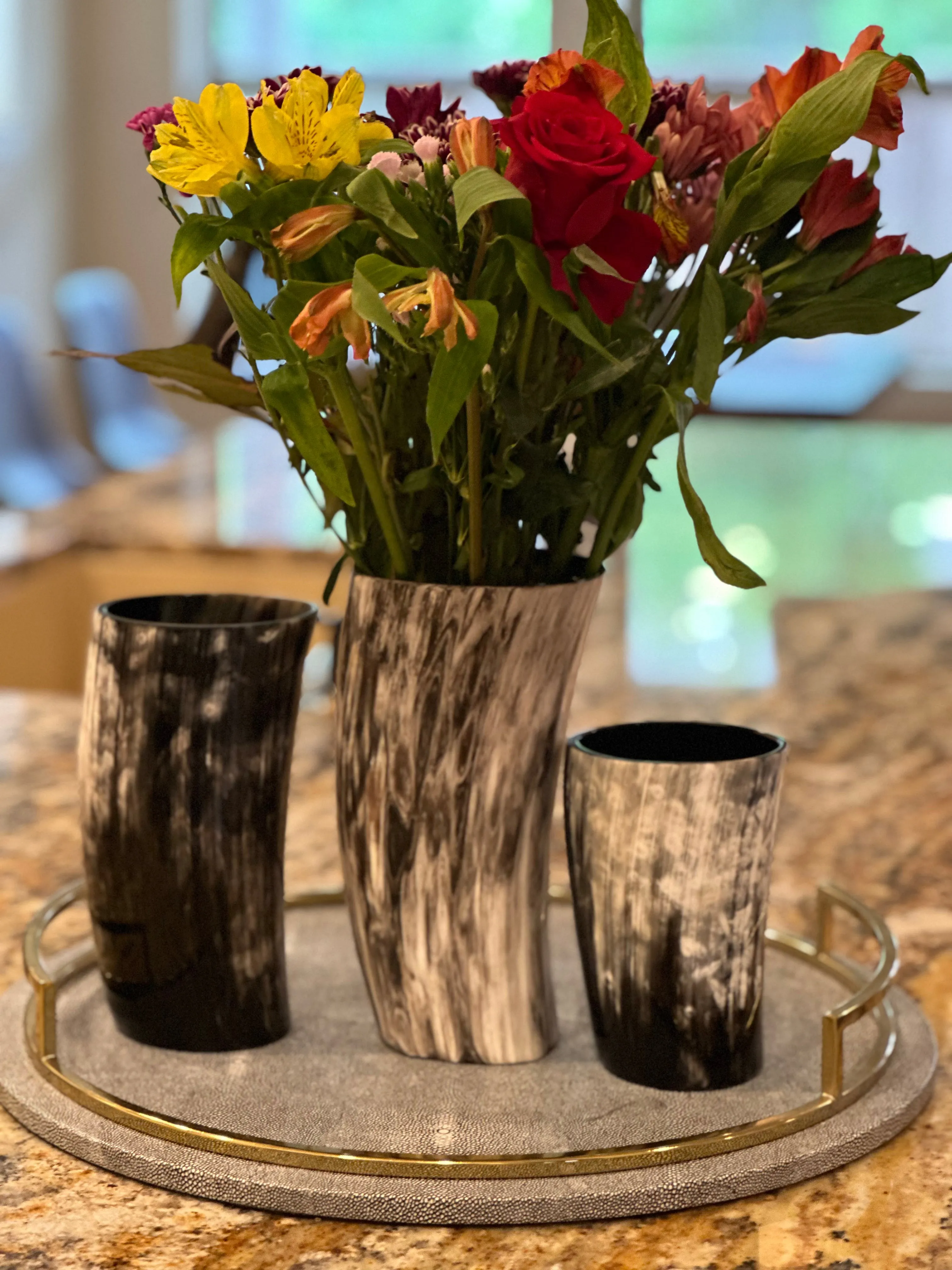 ANKOLE HORN VASES OR PLANTERS - DARK