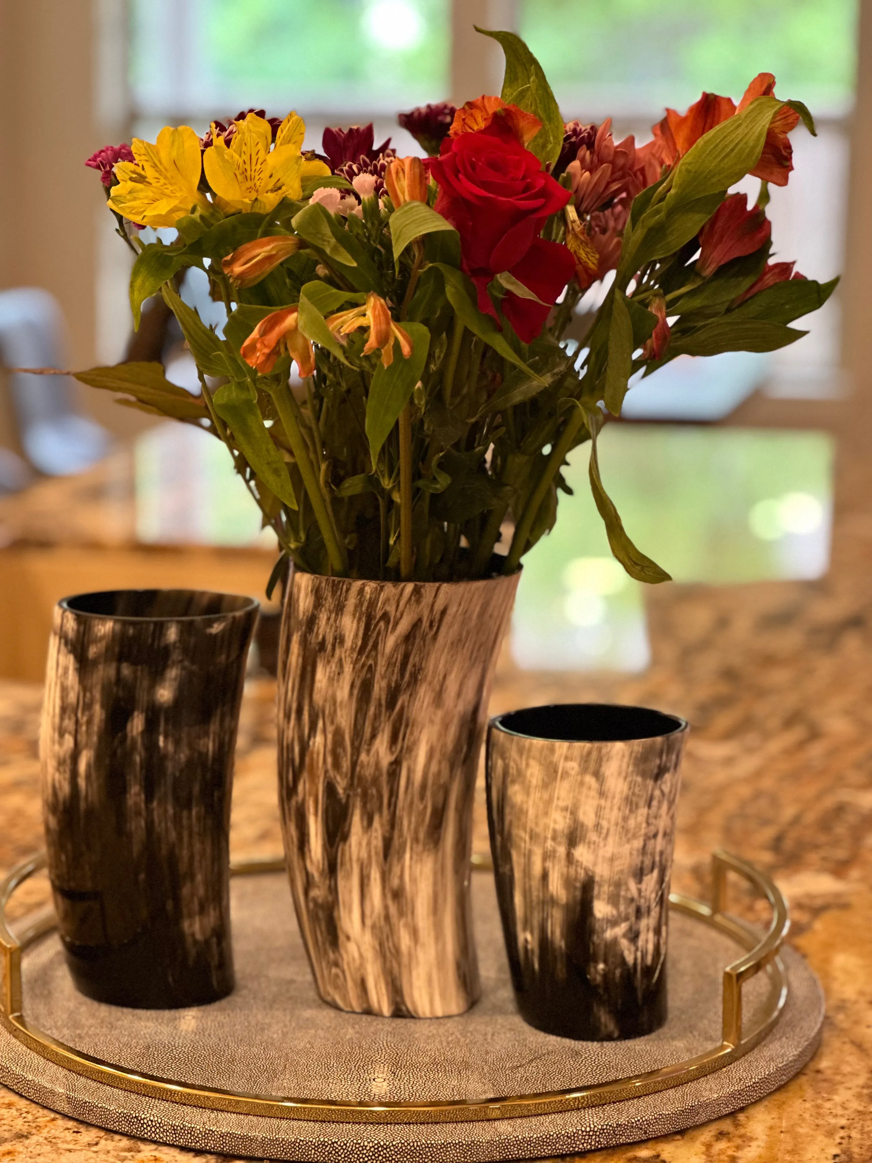ANKOLE HORN VASES OR PLANTERS - DARK