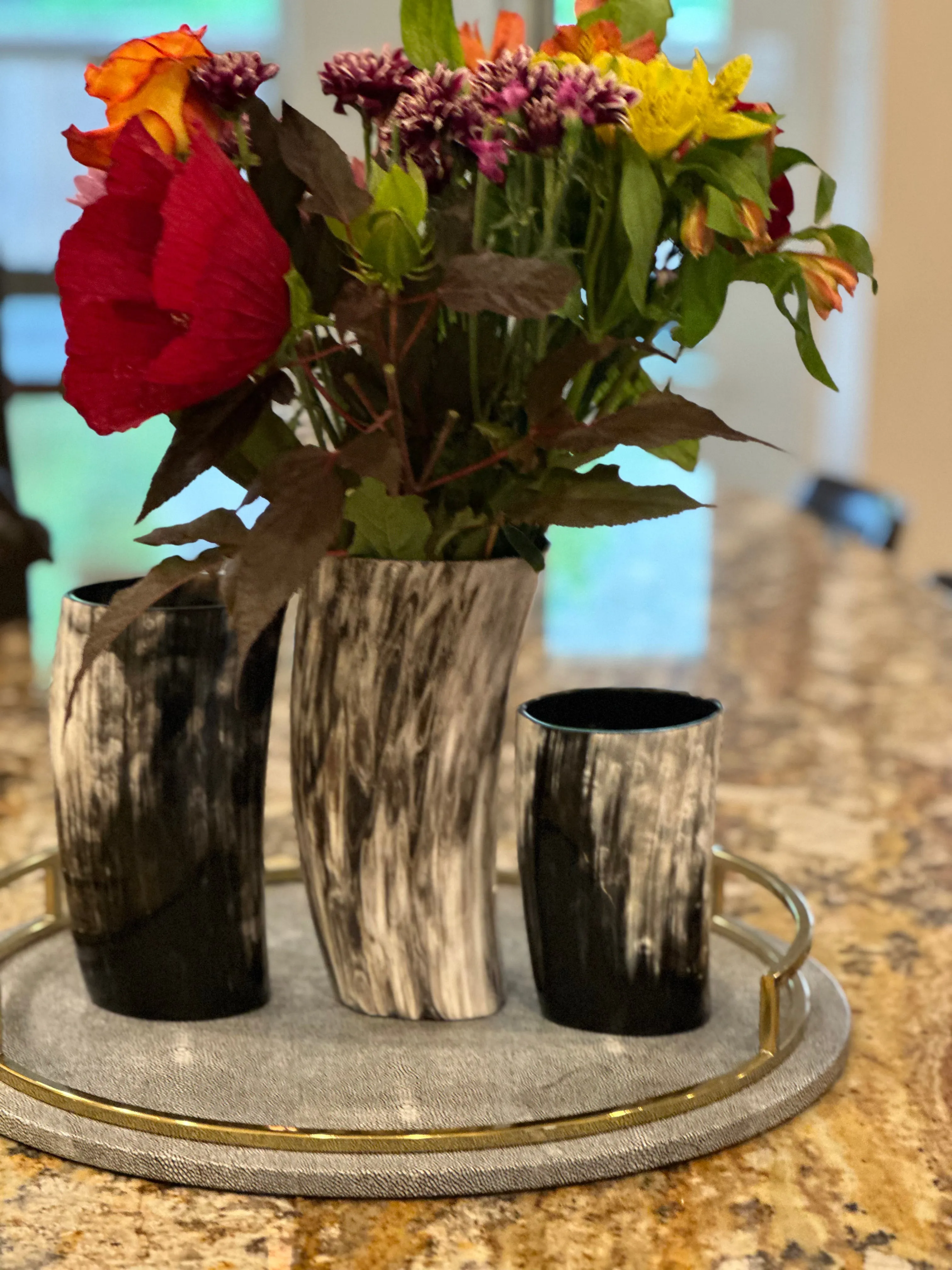 ANKOLE HORN VASES OR PLANTERS - DARK