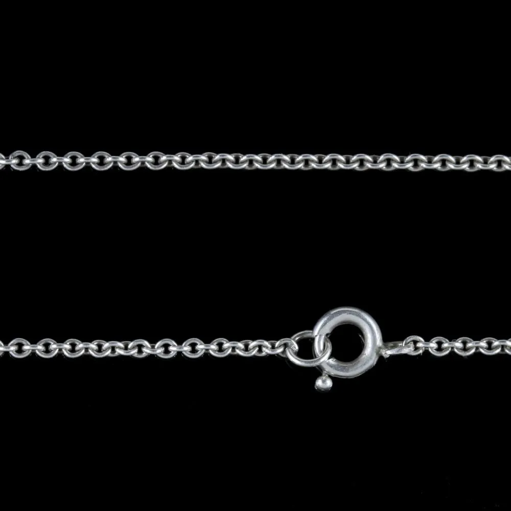 Antique Edwardian Suffragette Giardinetti Paste Lavaliere Necklace Silver