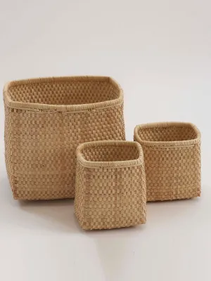 Palmnar Rectangular Basket Set Of 3