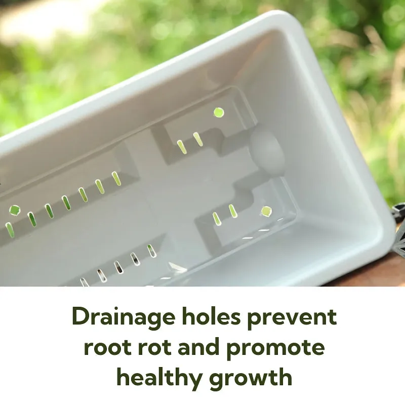 Plastic Vegetable Planter with Drain Hole Design