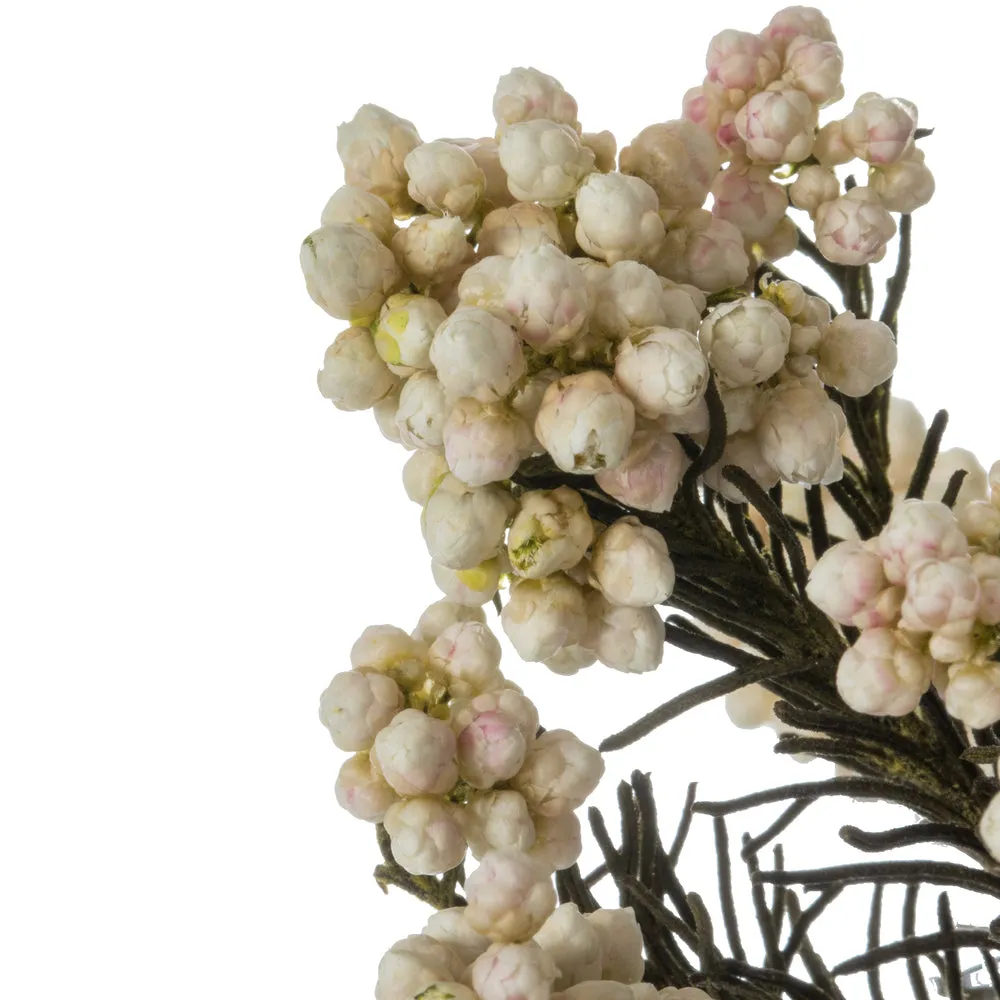 Rice Flower