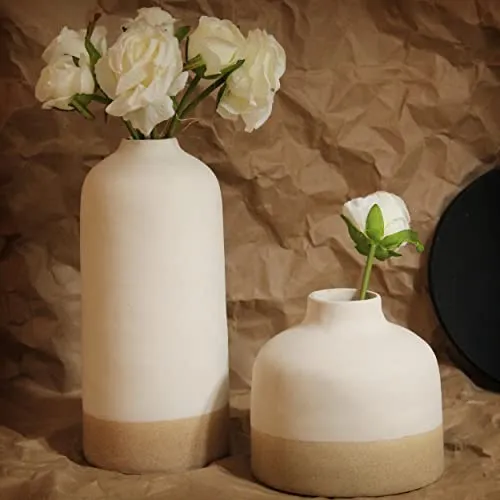 TIED RIBBONS Decorative Ceramic Flower Vase (Set of 2, Multi, 9.8 & 5.5 Inches) for Home Décor Flowers Plants Living Room Bedroom Kitchen Office Wall Table Centerpiece Decoration Items
